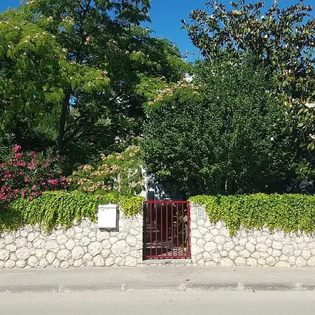 Ivan